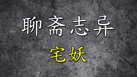 聊斋之宅妖演员表（聊斋志异宅妖主要内容）