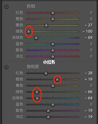 徕卡T机内色彩设置（徕卡 调色）-图1