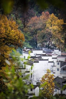 皖南小景色彩图片（皖南有什么风景）-图3