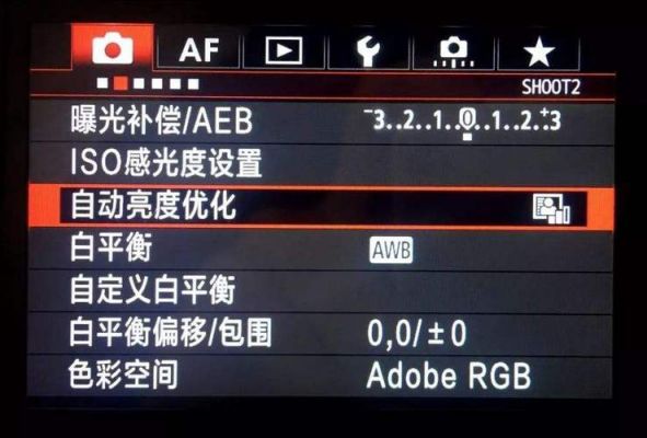 佳能自动色彩（佳能自动色彩怎么设置）-图2
