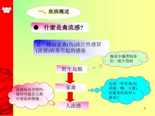 禽流感演员表（禽流感资讯）-图2