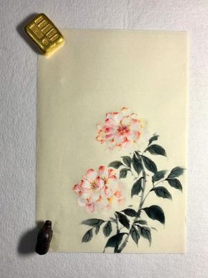 色彩小品花（小品花卉）-图2