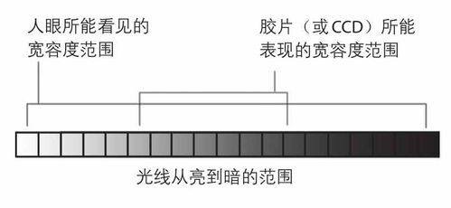 相机动态范围和色彩深度（什么叫相机动态范围）-图1