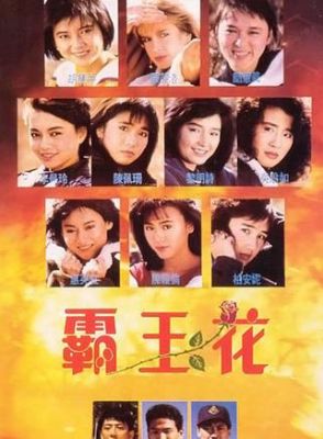 霸王花2所有演员表（霸王花2的所有演员）-图2