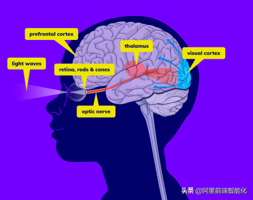 视觉与视角的区别（视觉与视角的区别与联系）-图3