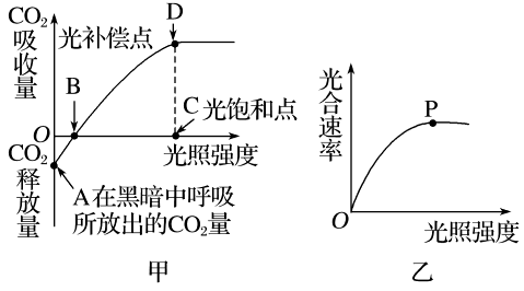 光合视觉（光合视线）-图1