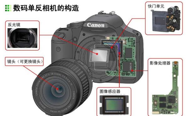 单反变焦跟焦（单反相机变焦）-图1