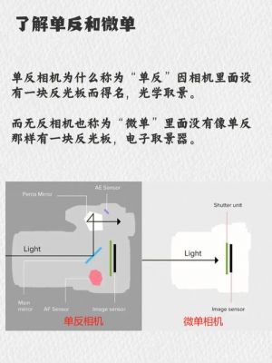 微单定焦好还是变焦好（定焦微单推荐）-图3