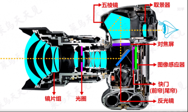 单反变焦镜头内部结构（相机的变焦镜头结构原理）