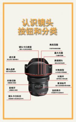 初学摄影定焦还是变焦（初学摄影定焦还是变焦镜头好）-图1