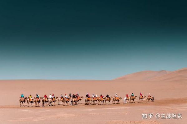 旅游用定焦还是变焦好（旅游用定焦还是变焦好呢）-图2