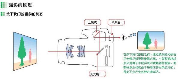 单反怎么调节变焦（单反相机调焦原理示意图）-图3