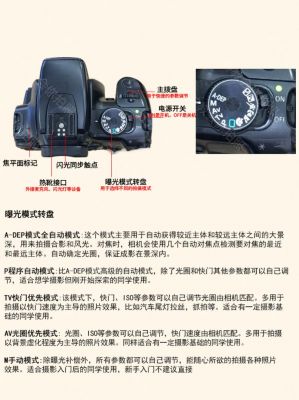 佳能变焦镜头100-400（佳能变焦镜头使用方法）-图1