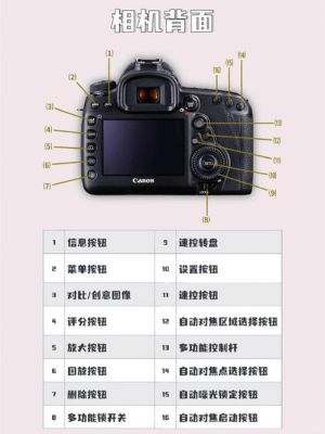 佳能变焦镜头100-400（佳能变焦镜头使用方法）-图2